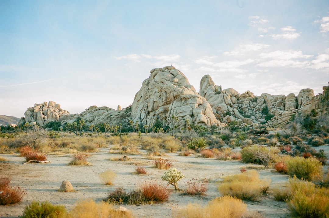 Photo Desert landscape